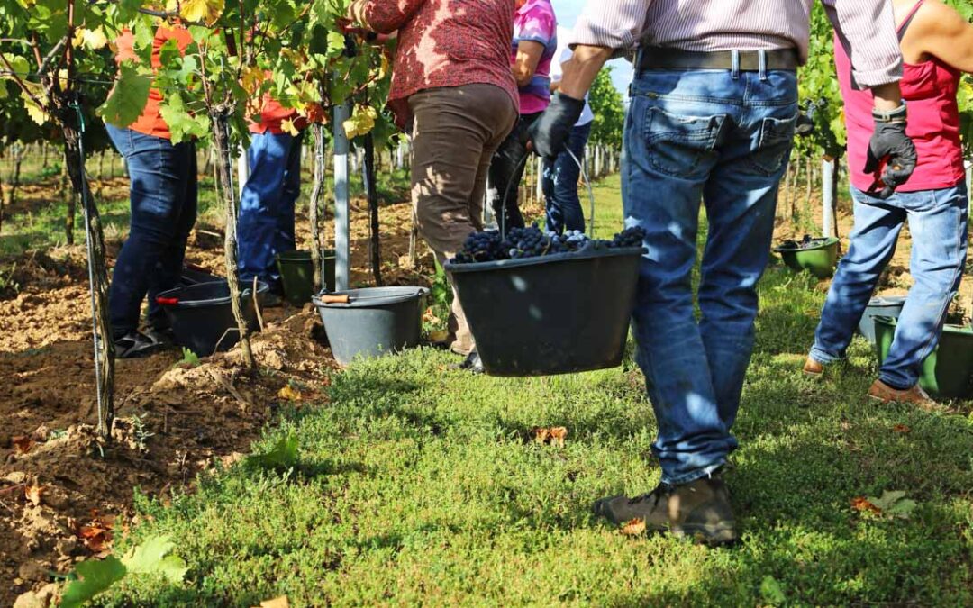 September Favorites – Harvest Festivals and Religious Festivals