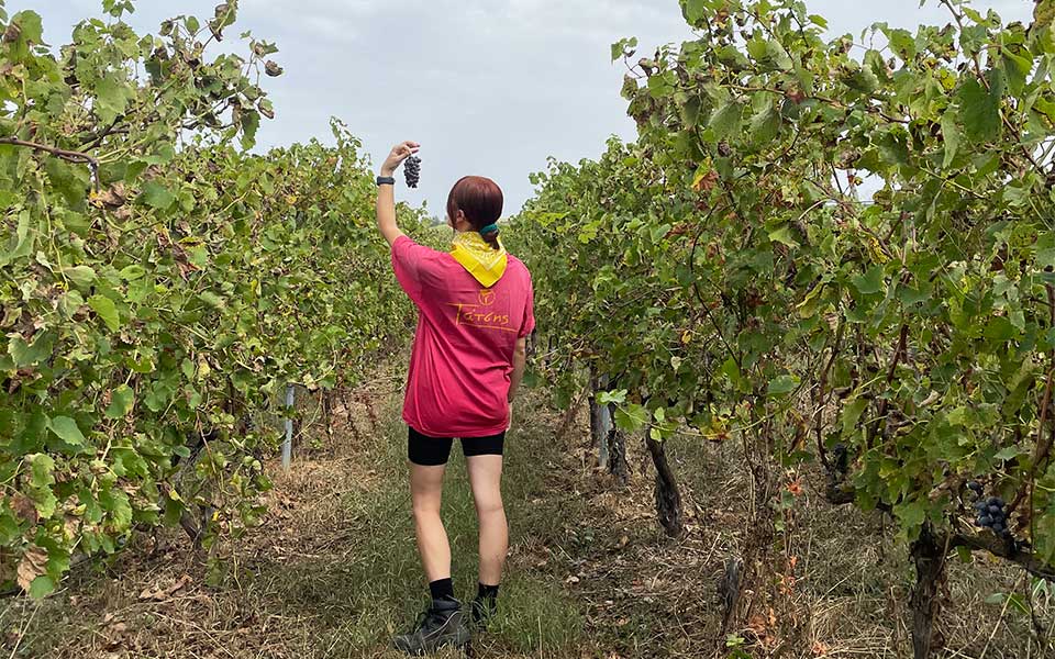 Five Young Female Winemakers to Watch