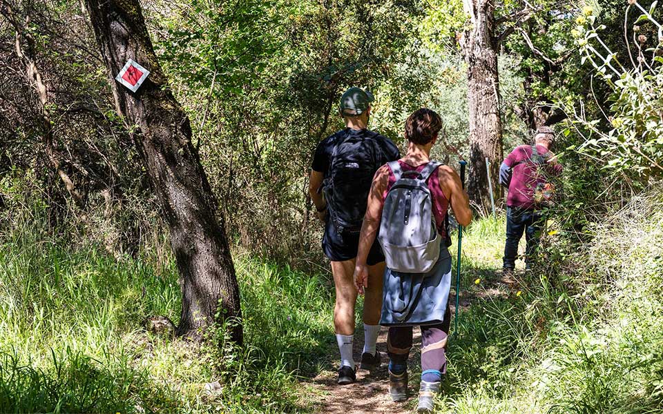 Stemnitsa: The Story of Arcadia’s Trail Revival