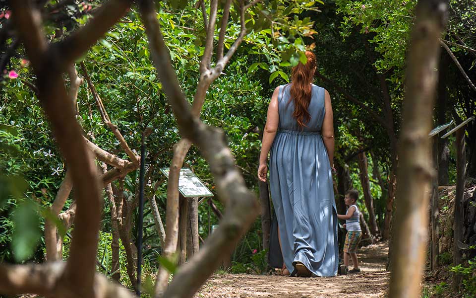Exploring the Legacy of the Cretan Diet in a Green Paradise