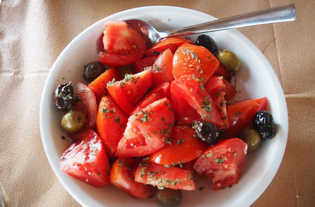 FLY ME TO THE MOON TRAVEL NEWSLETTER VOLUME 100