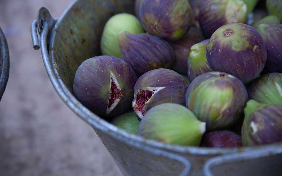 Everything You Need to Know About Greek Figs