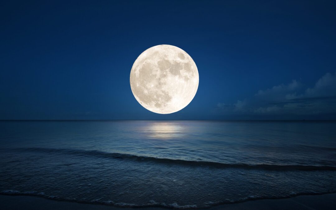 FLY ME TO THE MOON NEWSLETTER VOLUME 101