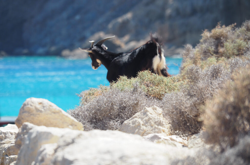 Fly Me To The Moon: Bespoke Luxury Travel and Slow Travel in Greece by Beau Monde Traveler